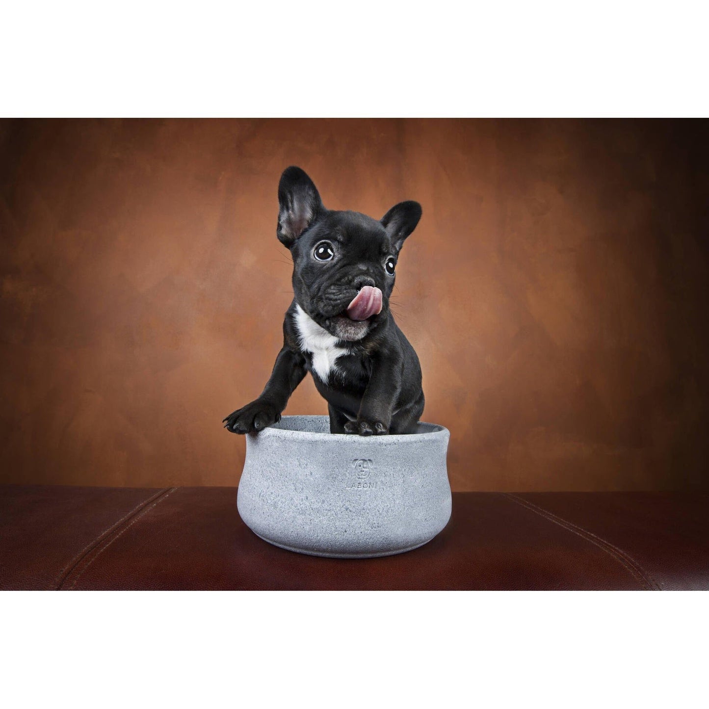 LABONI "ROCKY" - Edel-Napf für Hund und Katze - Askmy4Cats