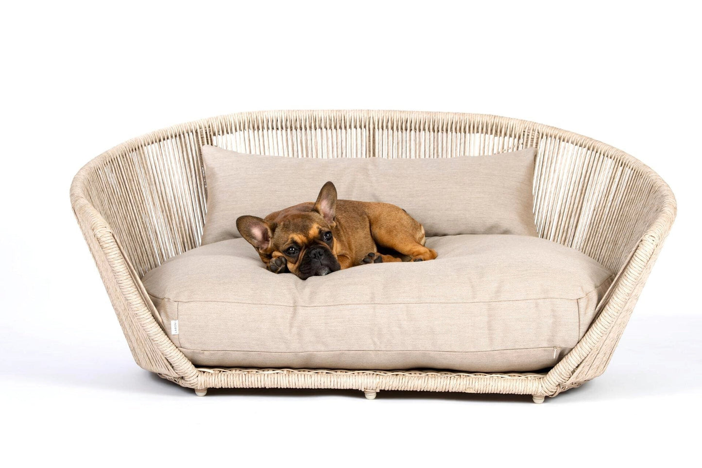 LABONI VOGUE - Design-Hundebett SMOOTH - Askmy4Cats