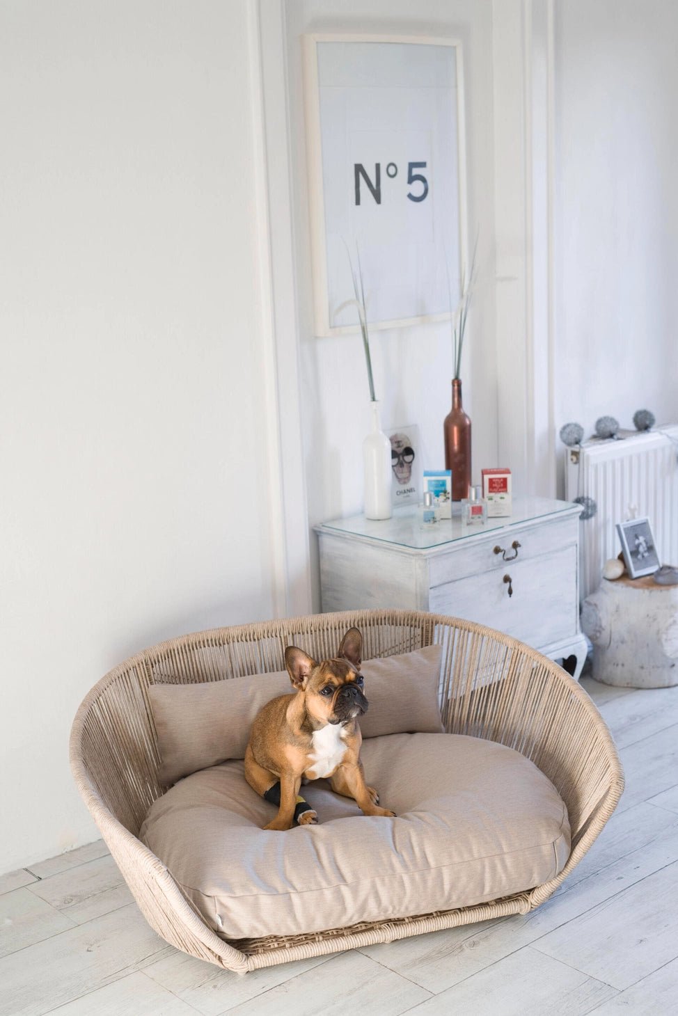 LABONI VOGUE - Design-Hundebett SMOOTH - Askmy4Cats