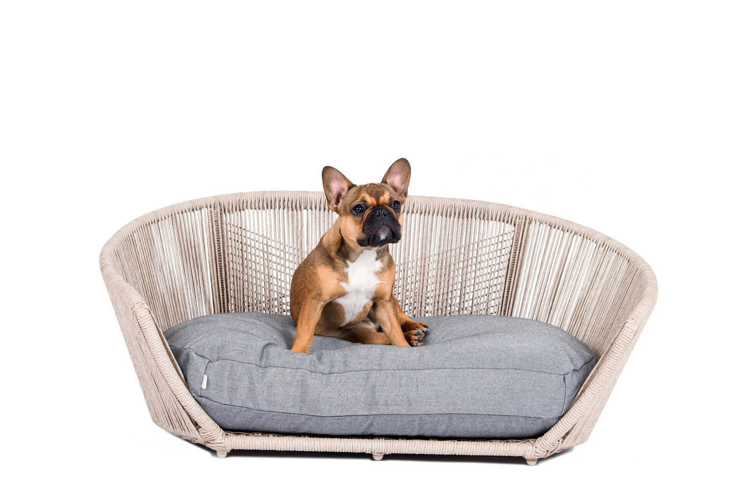 LABONI VOGUE - Design-Hundebett SMOOTH - Askmy4Cats