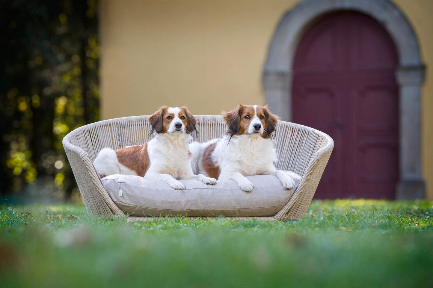 LABONI VOGUE - Design-Hundebett SMOOTH - Askmy4Cats