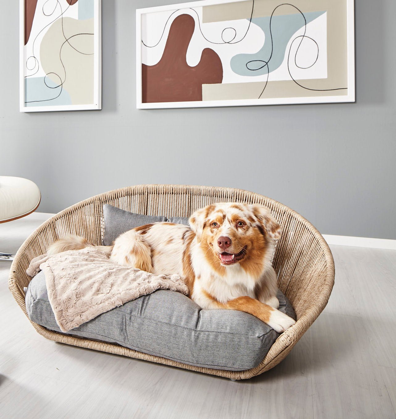 LABONI VOGUE - Design-Hundebett SMOOTH - Askmy4Cats