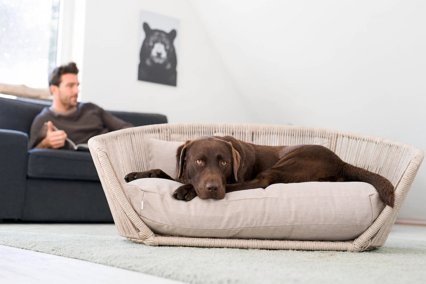 LABONI VOGUE - Design-Hundebett SMOOTH - Askmy4Cats