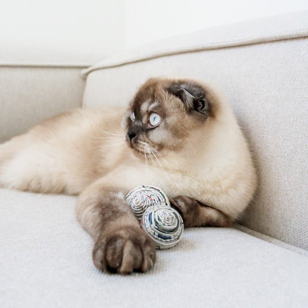 Spielzeug für die Katze PAPERBALL - Askmy4Cats