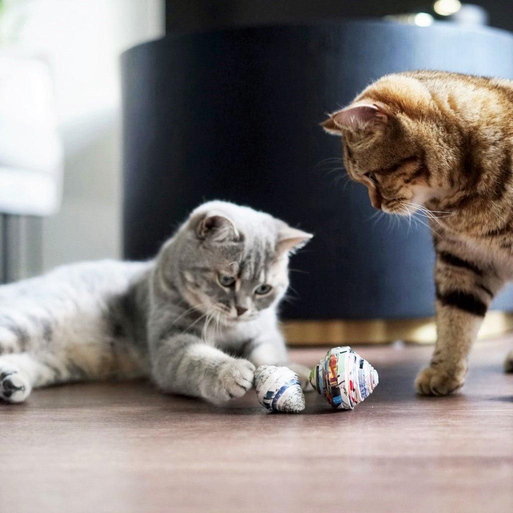 Spielzeug für die Katze PAPERBALL - Askmy4Cats
