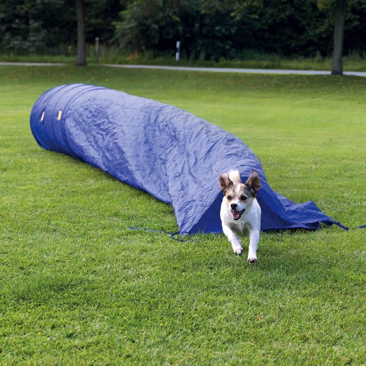 TOPMAST Agility Pocket-Tunnel - 5 Meter - Askmy4Cats