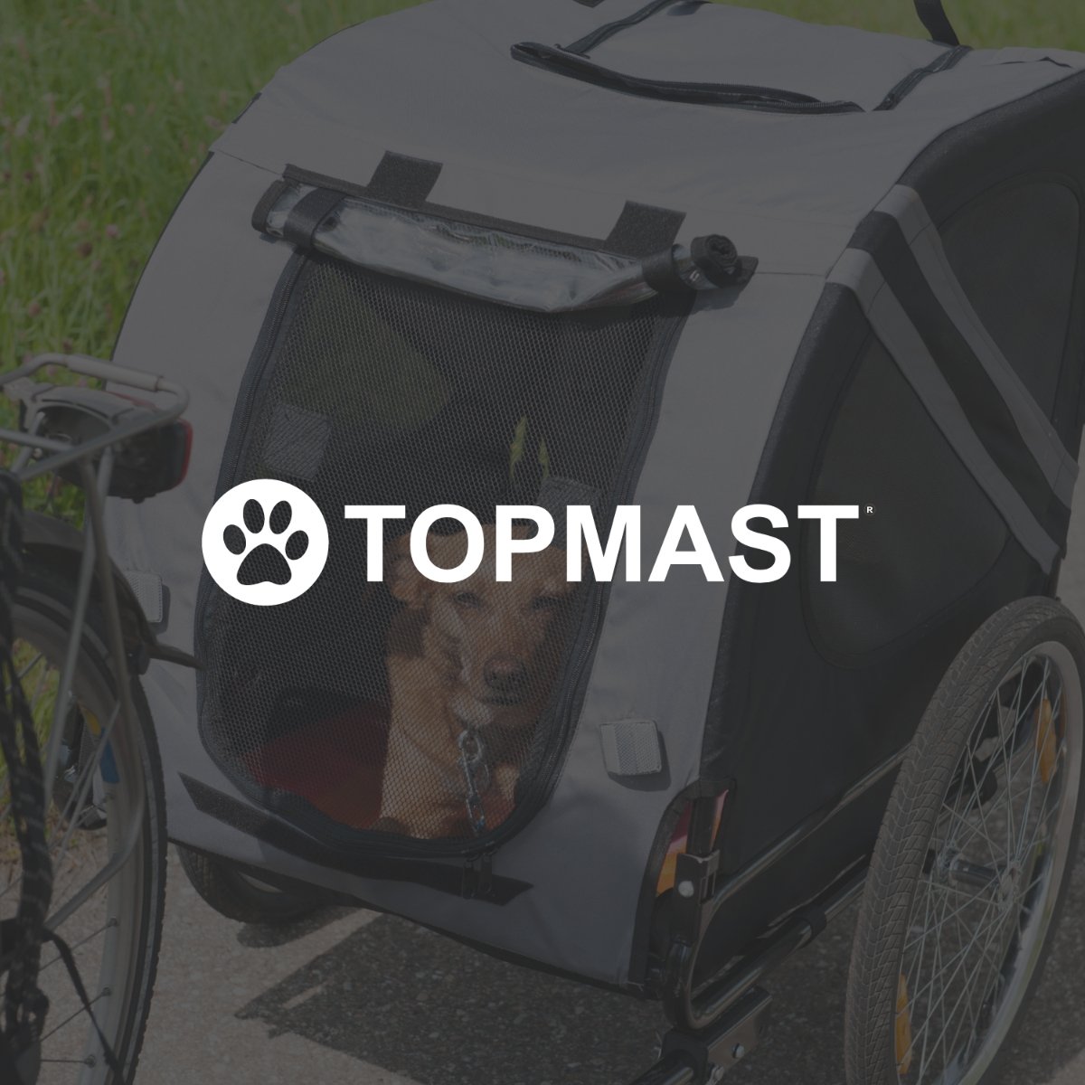 TOPMAST Hunde Fahrradanhänger "Original" - Askmy4Cats