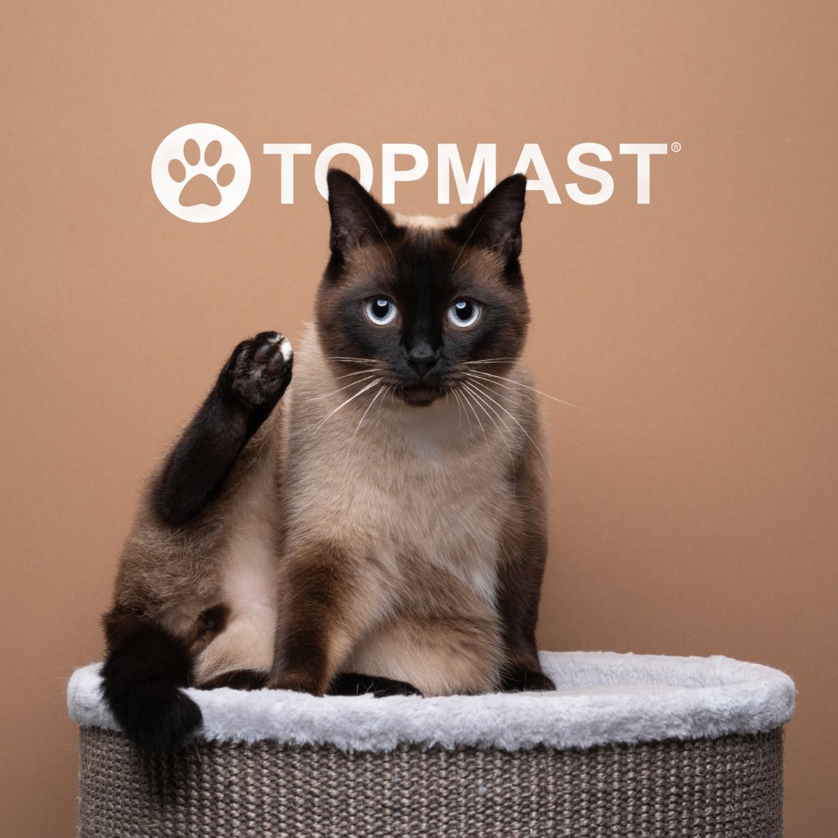 Topmast Kratztonne Brasil - Askmy4Cats