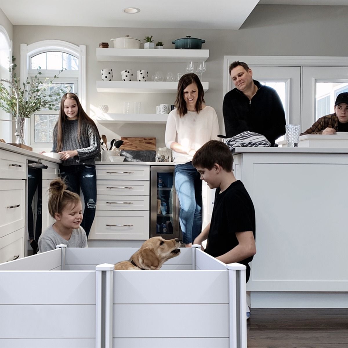 TOPMAST Wurfkiste für Hunde oder Katzen, Kunststoff, verschiedene Größen - Askmy4Cats