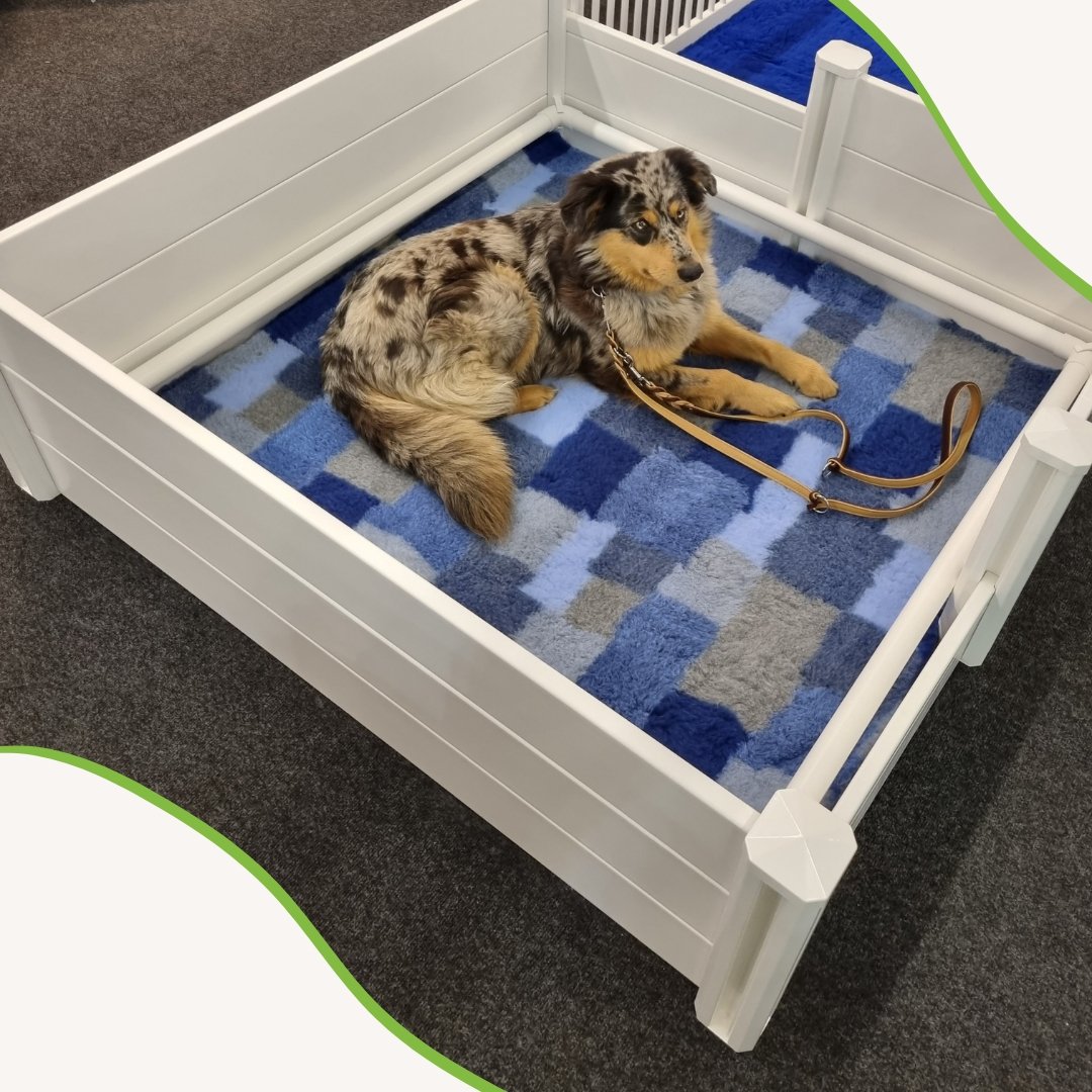 TOPMAST Wurfkiste für Hunde oder Katzen, Kunststoff, verschiedene Größen - Askmy4Cats