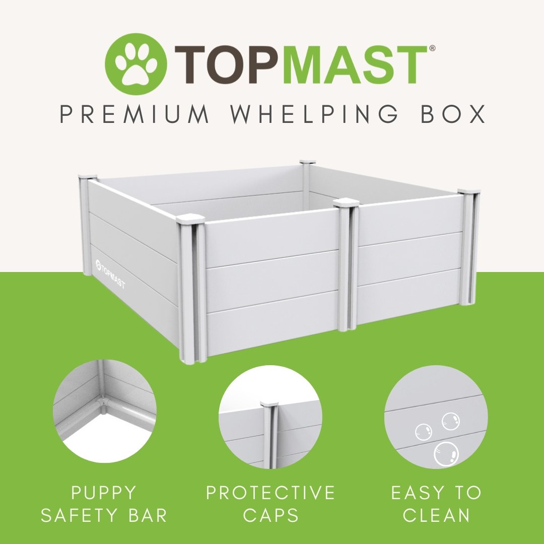 TOPMAST Wurfkiste für Hunde oder Katzen, Kunststoff, verschiedene Größen + Welpenauslauf - Askmy4Cats