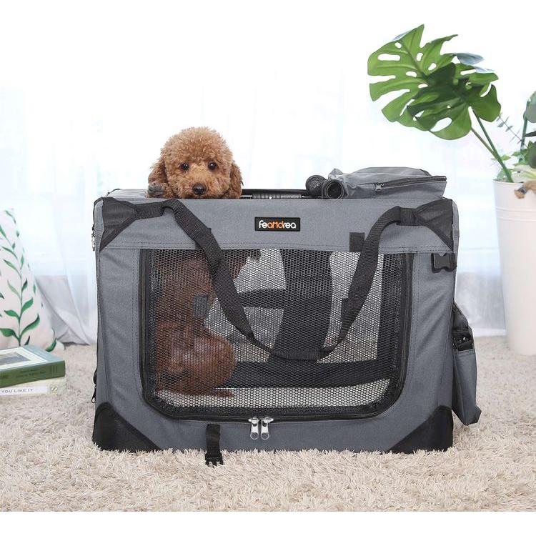 Transportbox für Haustiere - Askmy4Cats