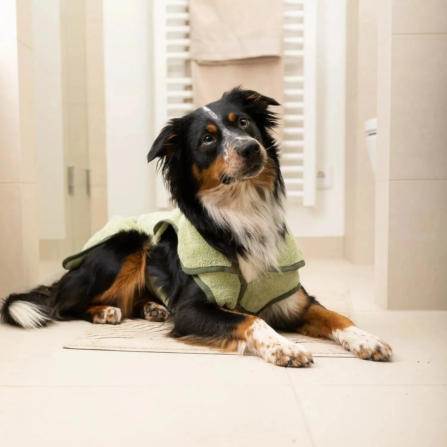 WILLIAM WALKER Hundebademantel SPA - Askmy4Cats