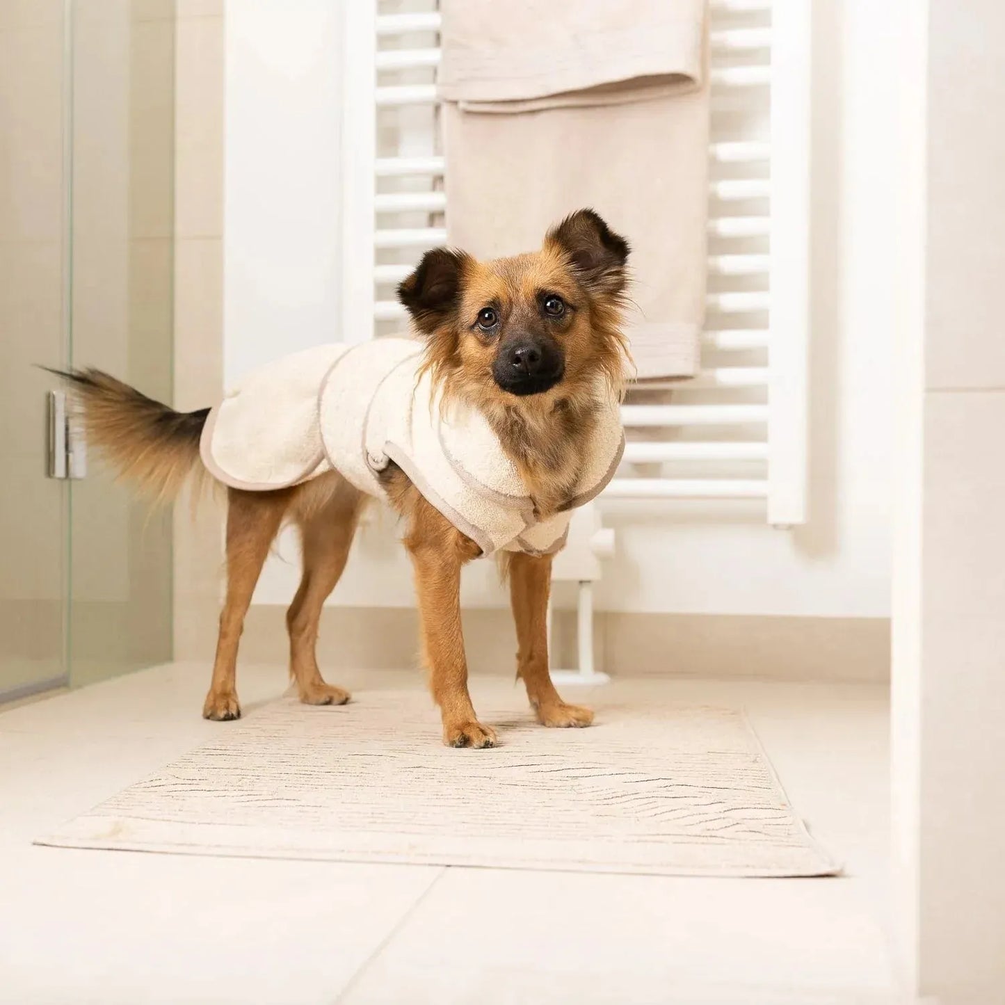 WILLIAM WALKER Hundebademantel SPA - Askmy4Cats