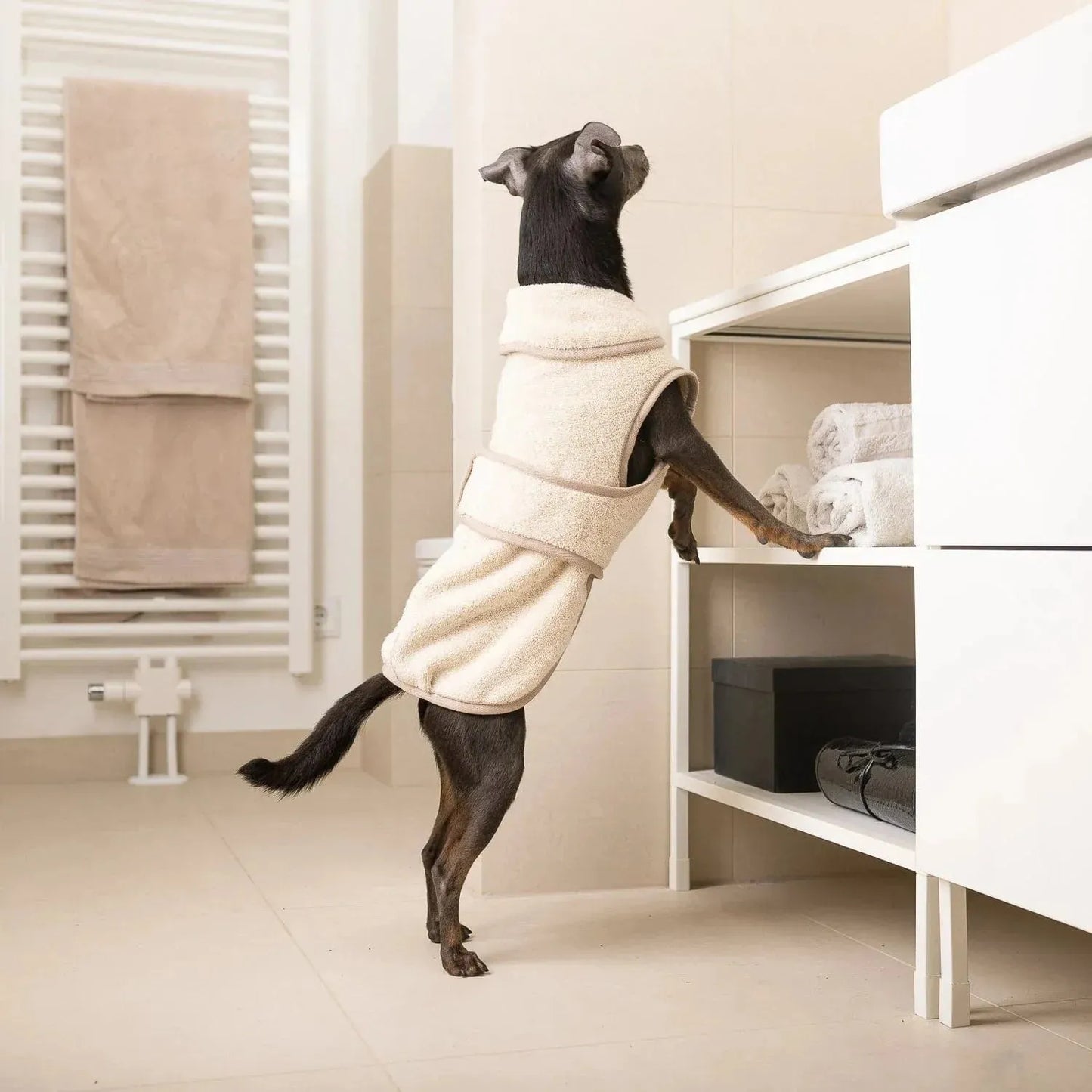 WILLIAM WALKER Hundebademantel SPA - Askmy4Cats