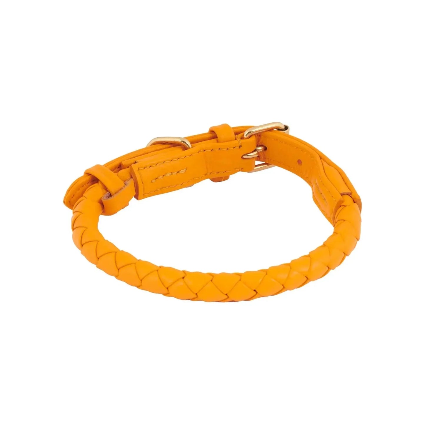WILLIAM WALKER Hundehalsband Twisted - Askmy4Cats