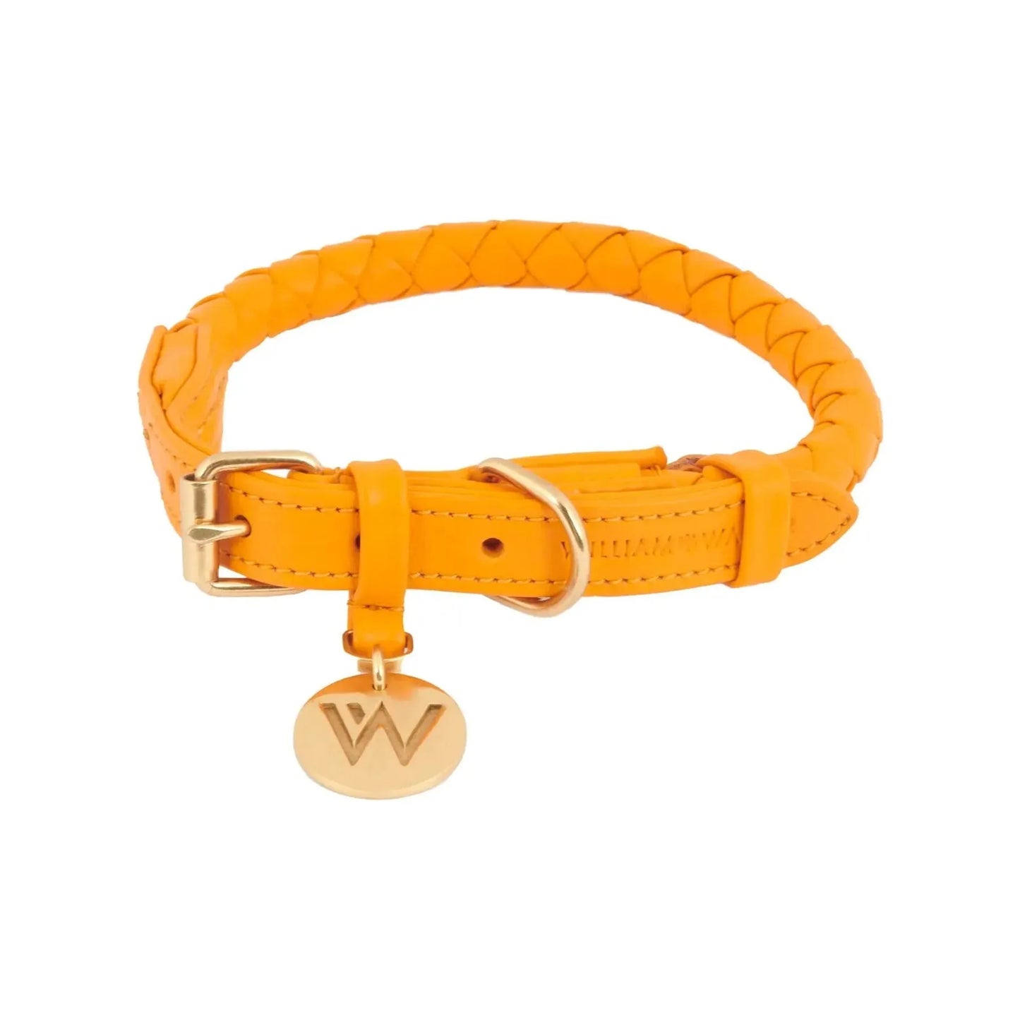 WILLIAM WALKER Hundehalsband Twisted - Askmy4Cats