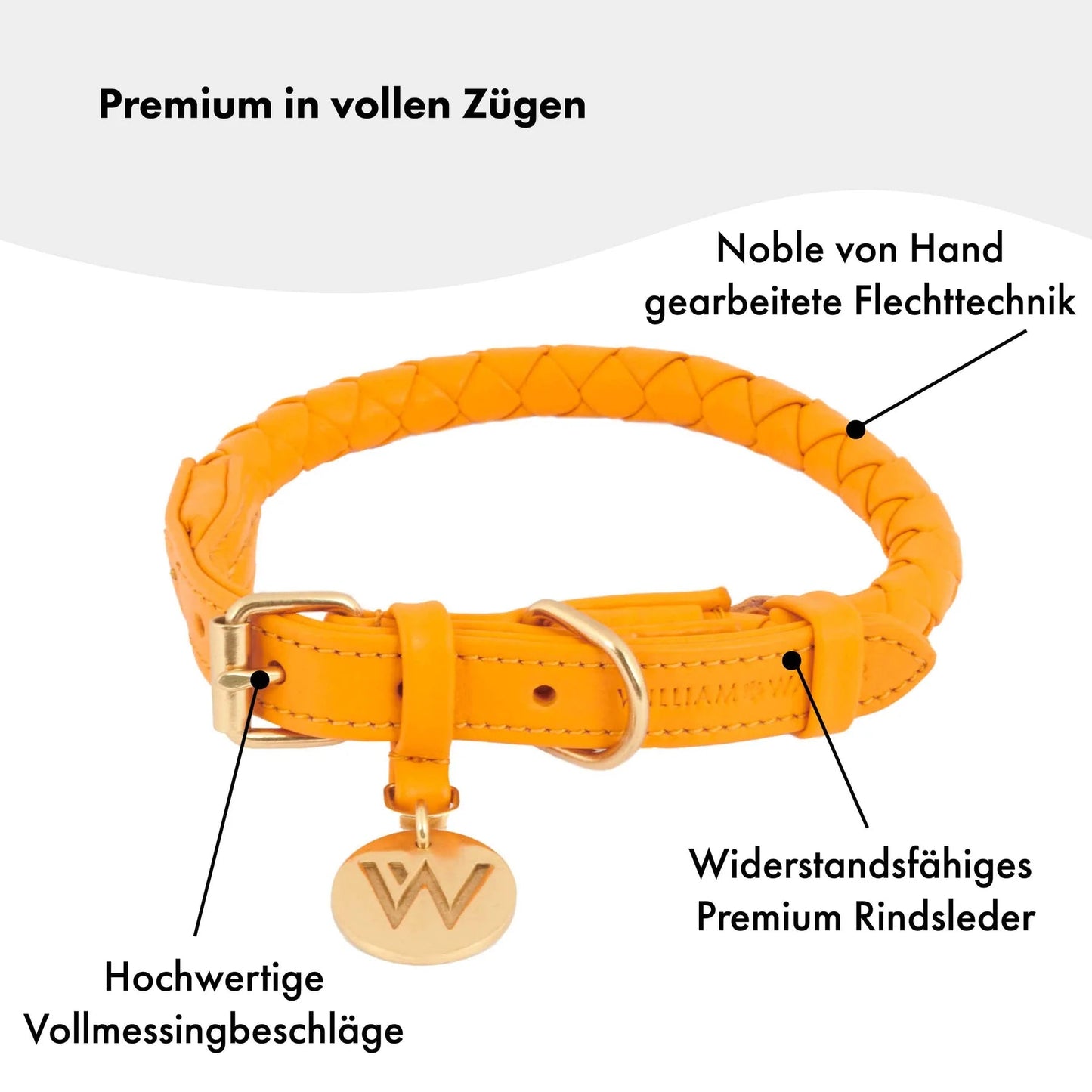 WILLIAM WALKER Hundehalsband Twisted - Askmy4Cats