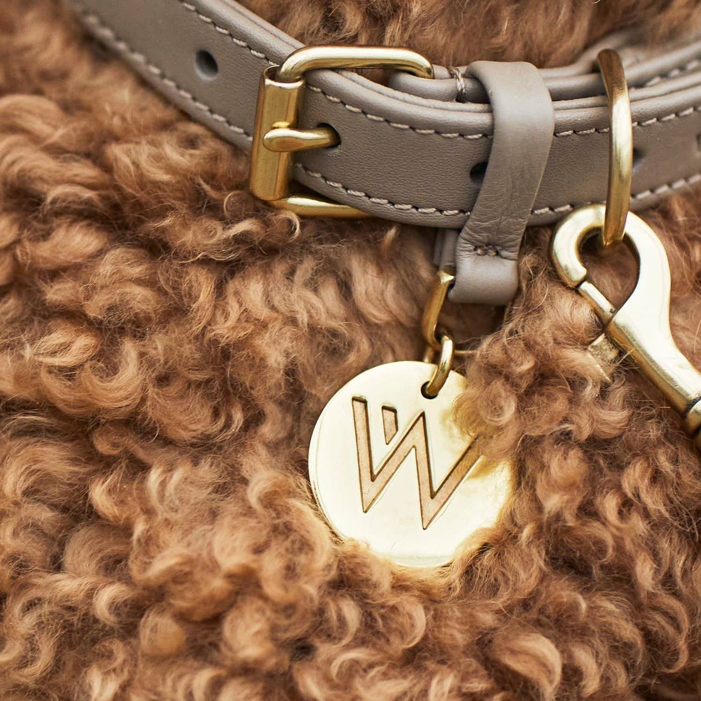 WILLIAM WALKER Hundehalsband Twisted - Askmy4Cats