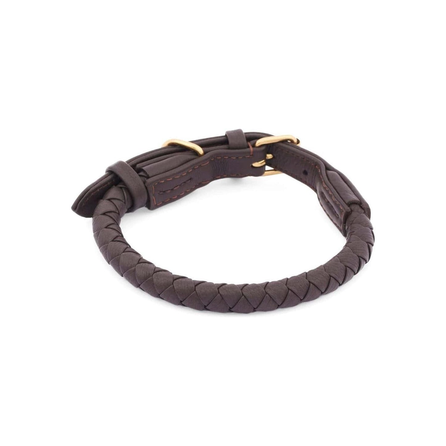 WILLIAM WALKER Hundehalsband Twisted - Askmy4Cats