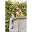 LABONI AMICI Hundeleine aus Leder - Elegante Hundeleine für modebewusste Hundefreunde