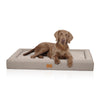 Knuffelwuff Tiva - Orthopädisches Easy-Clean Hundebett (Memory Foam)