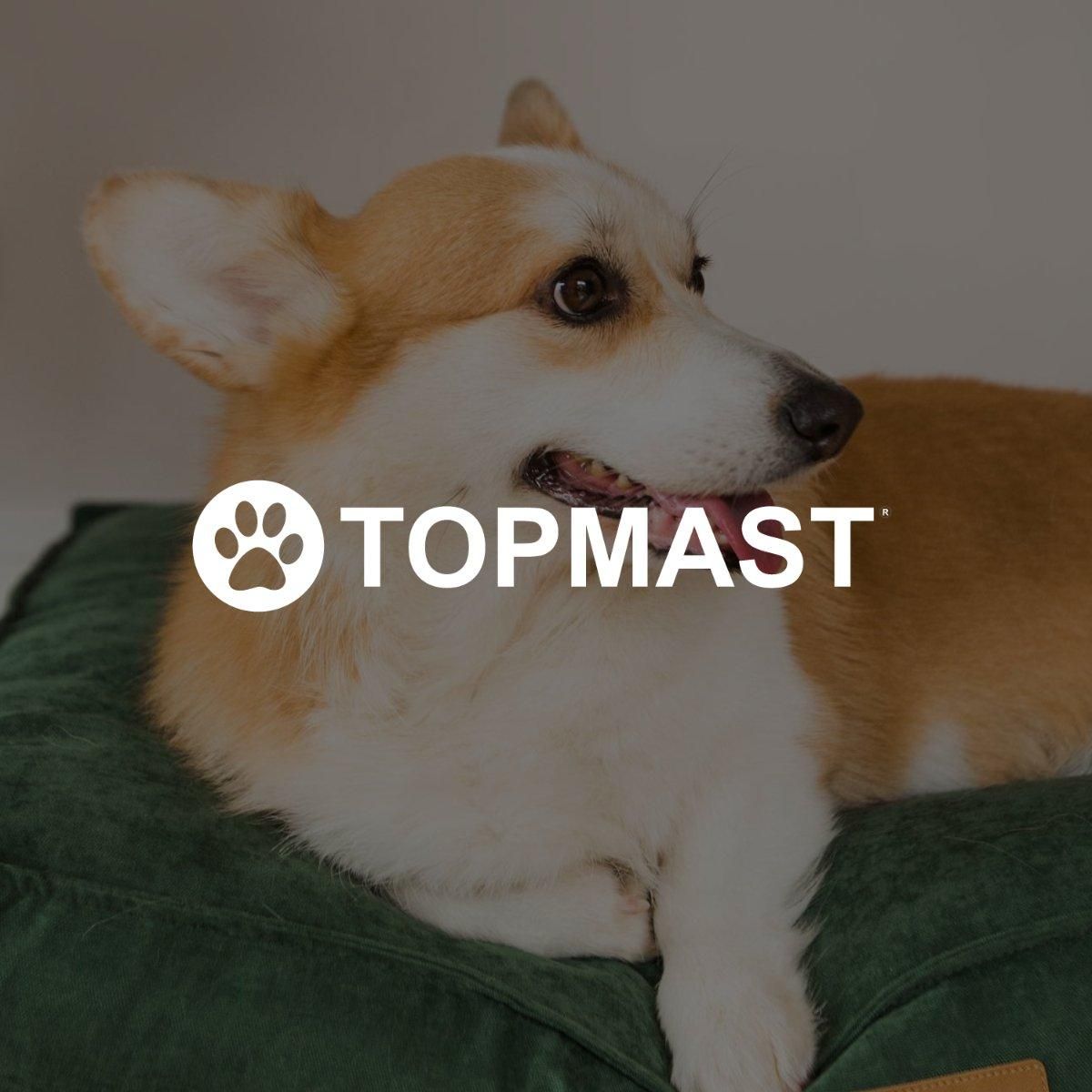 TOPMAST Hundekissen "Velours Soft Serie" - Askmy4Cats