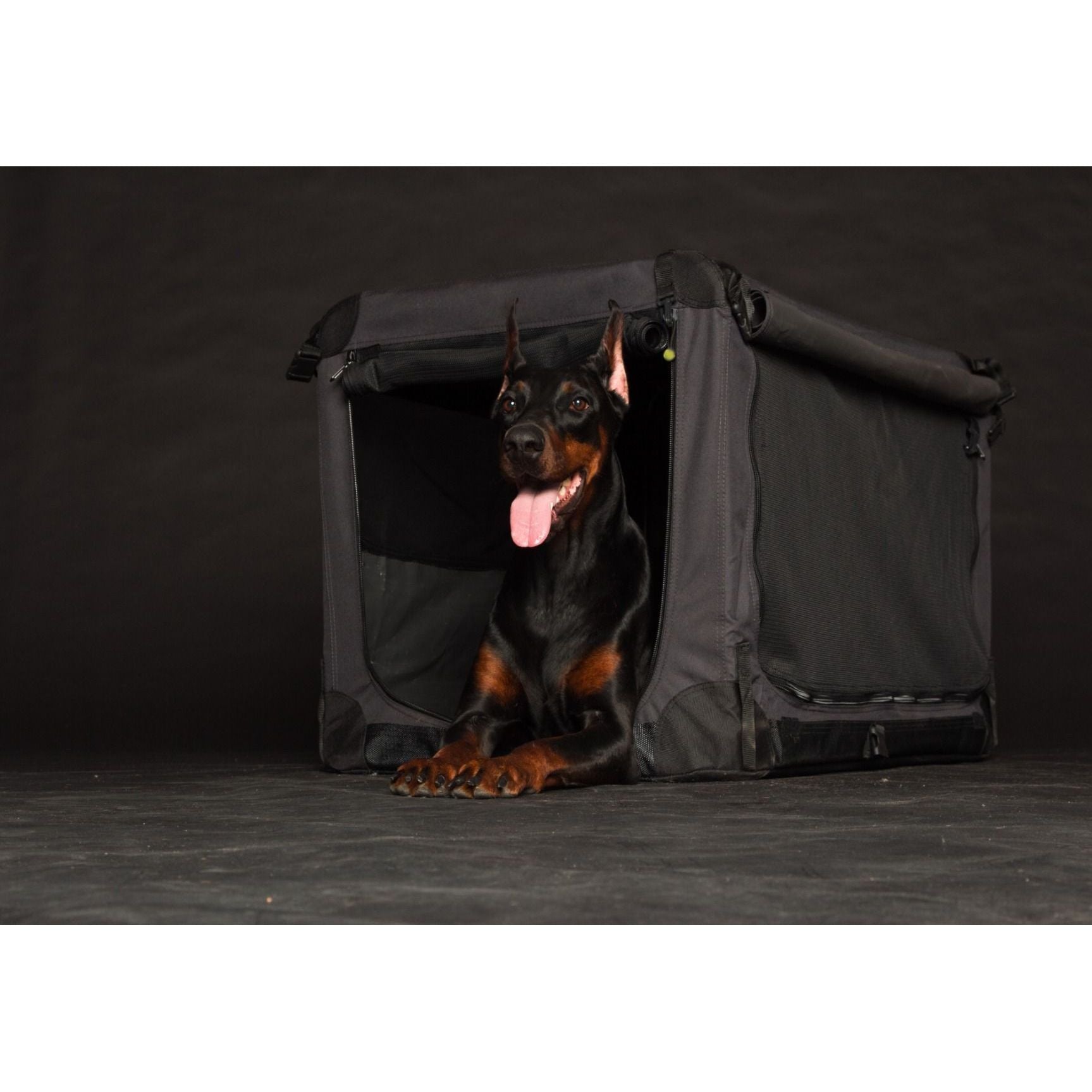 TOPMAST Faltbare Hunde Transportbox "PREMIUM" - Askmy4Cats