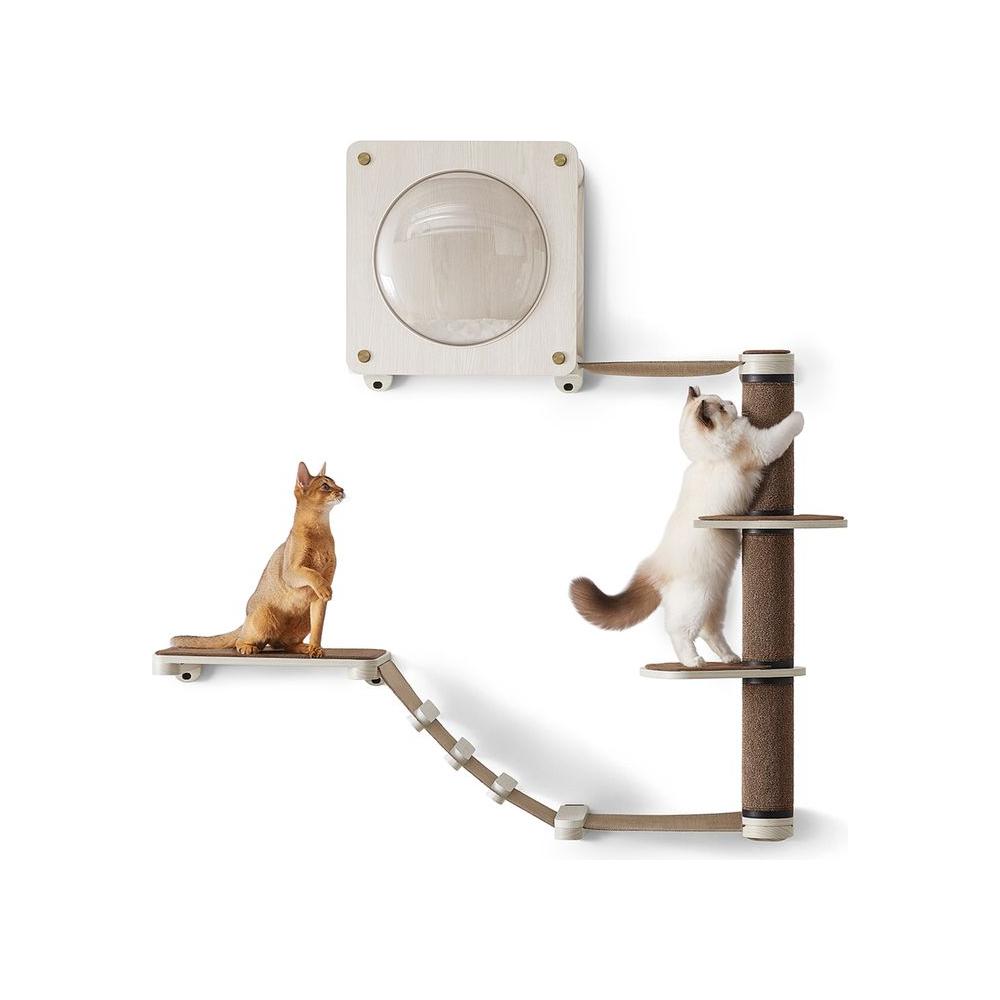 Clickat Kletterwand Set Oasis - Askmy4Cats