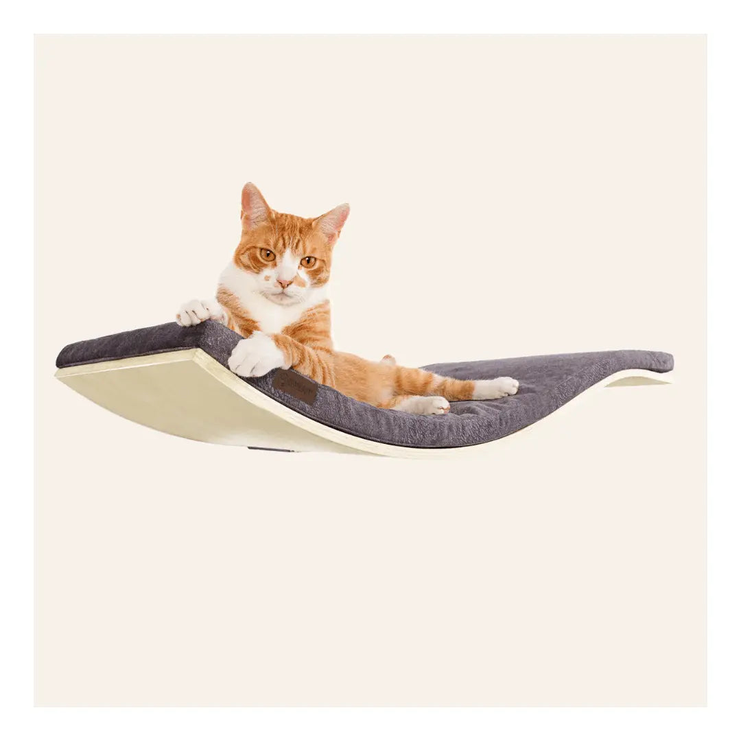 Cosy and Dozy - Wellness Katzenliege CHILL DeLuxe - Askmy4Cats
