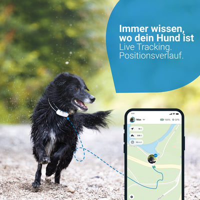 GPS Tracker TRACTIVE DOG 4 - Askmy4Cats