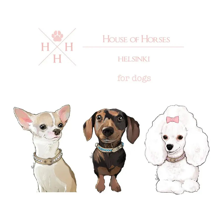 House of Horses Hundehalsband mit echten Swarovski Steinen - Askmy4Cats