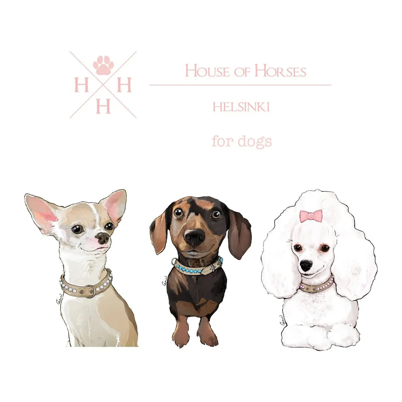 House of Horses Hundehalsband mit Swarowski Steinen - Askmy4Cats