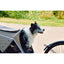 InnoPet® Hundebuggy/Fahrradanhänger "Sporty Trailer Evolution" - Askmy4Cats
