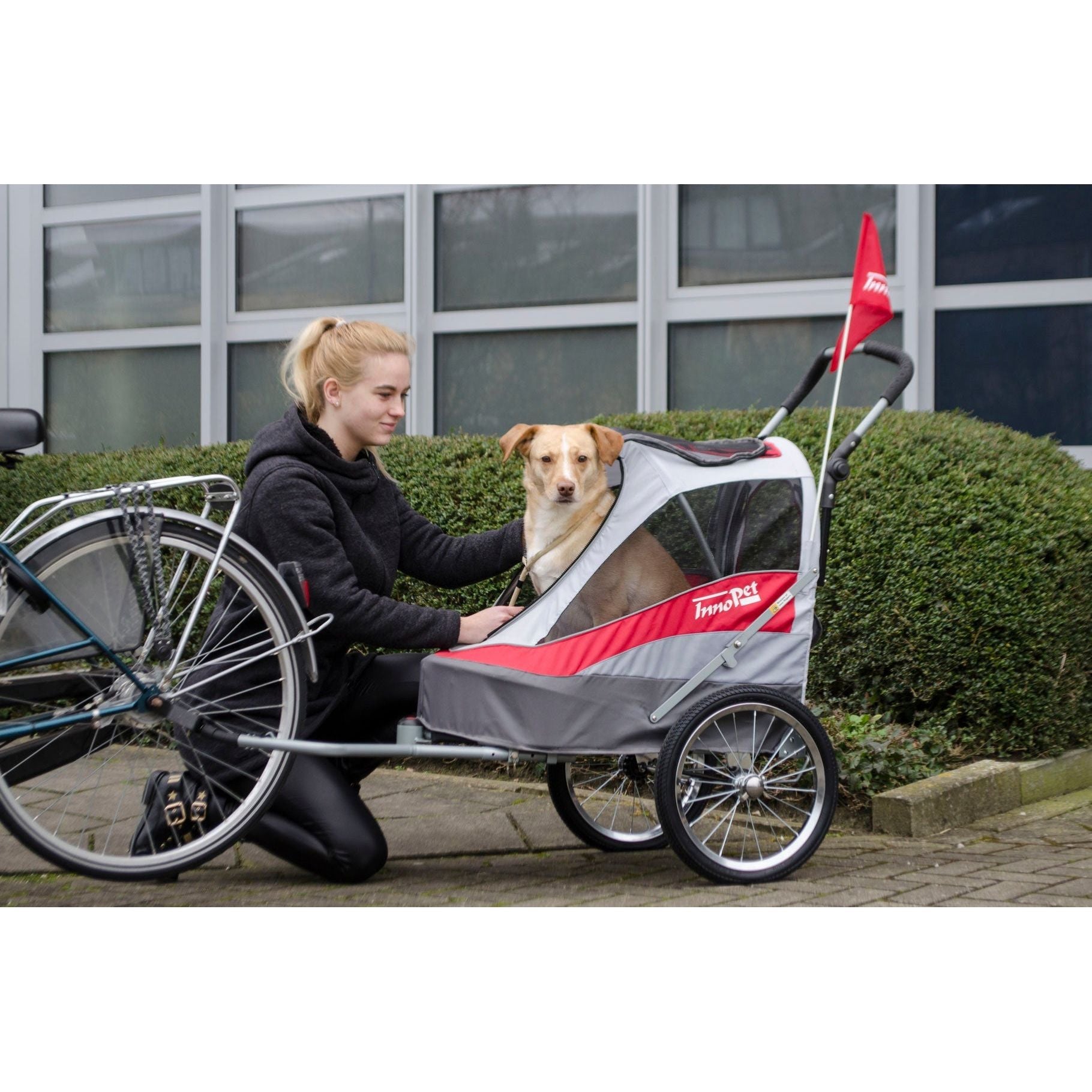 InnoPet® Hundebuggy/Fahrradanhänger "Sporty Trailer" inkl. Regenhaube - Askmy4Cats