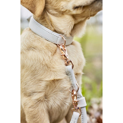LABONI AMICI - Stylishe Halsband-Leinen-Kombination für ein echtes Fashion-Statement! - Askmy4Cats