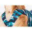 Suitical - Recovery Suit Body für Hunde - Askmy4Cats