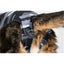 Suitical - Recovery Suit Katzenbody - Askmy4Cats