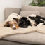WILLIAM WALKER Hundebademantel SPA - Askmy4Cats