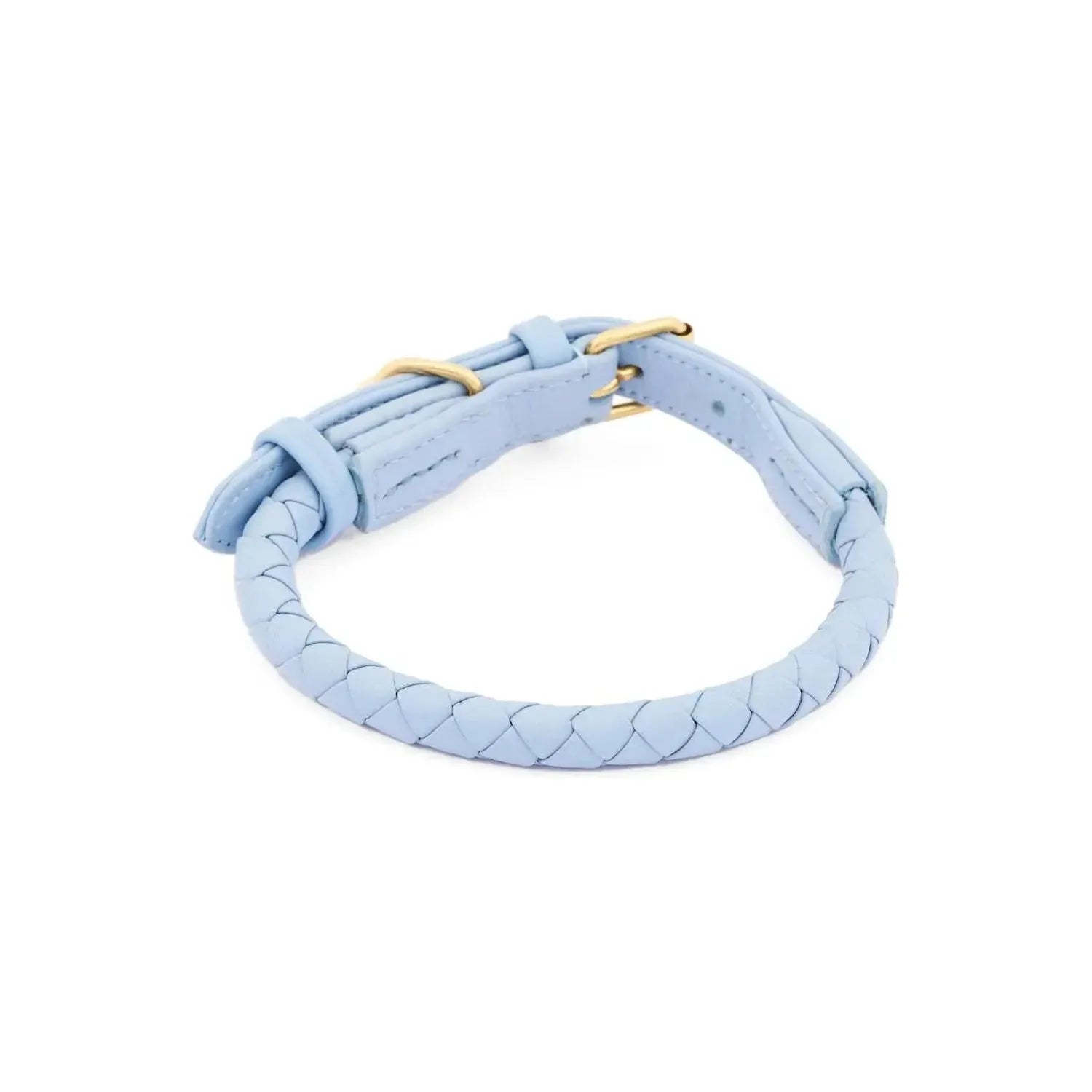 WILLIAM WALKER Hundehalsband Twisted - Askmy4Cats