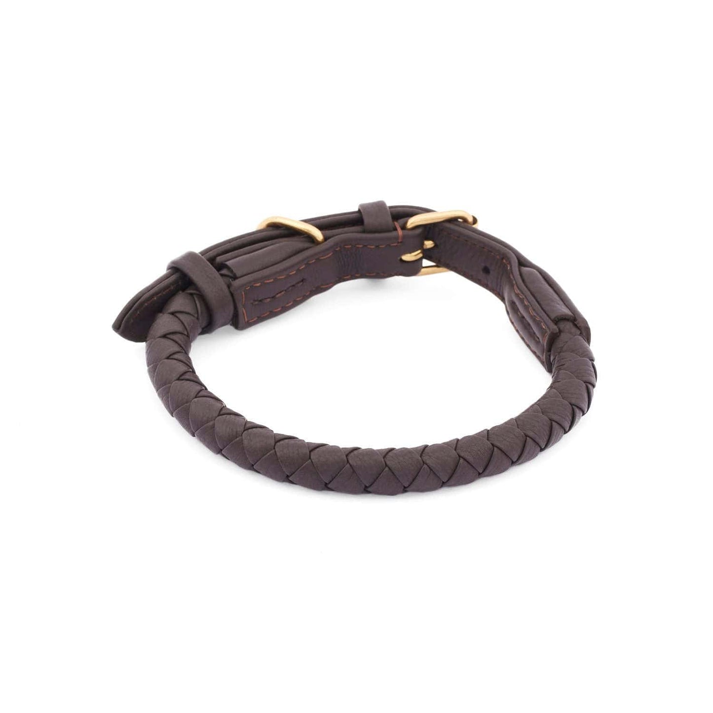 WILLIAM WALKER Hundehalsband Twisted - Askmy4Cats