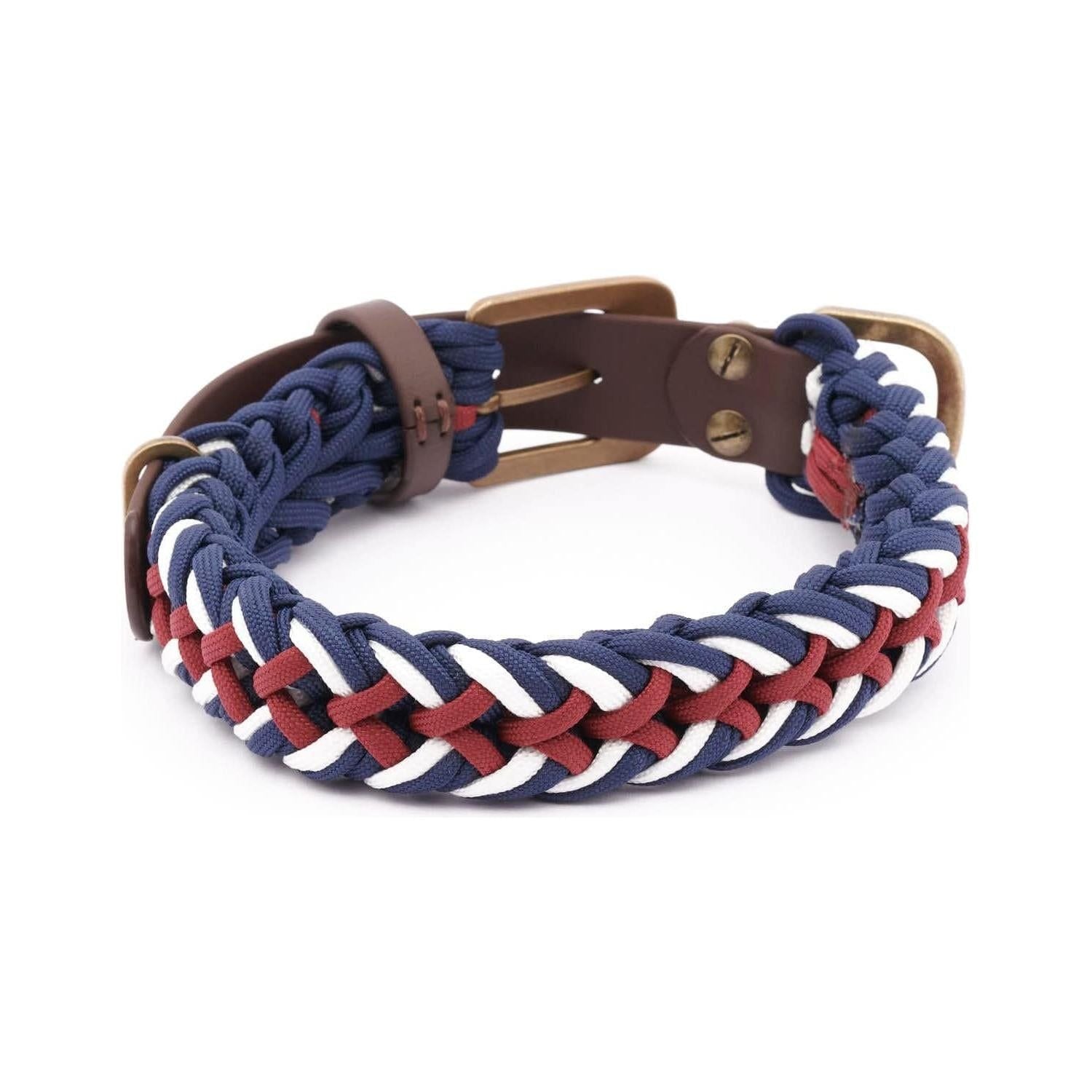 WILLIAM WALKER Paracord Hundehalsband Royal - Askmy4Cats