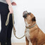 WILLIAM WALKER Paracord Hundehalsband Shire - Askmy4Cats