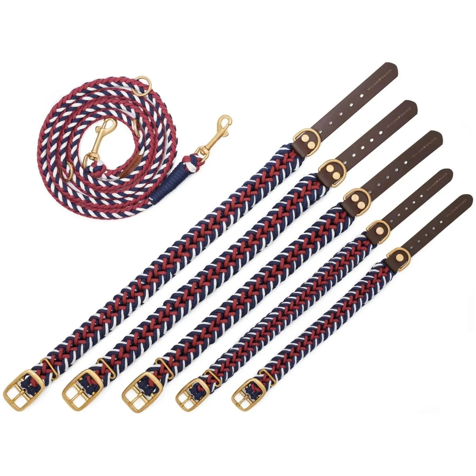 WILLIAM WALKER Paracord Hundeleine Royal - Askmy4Cats