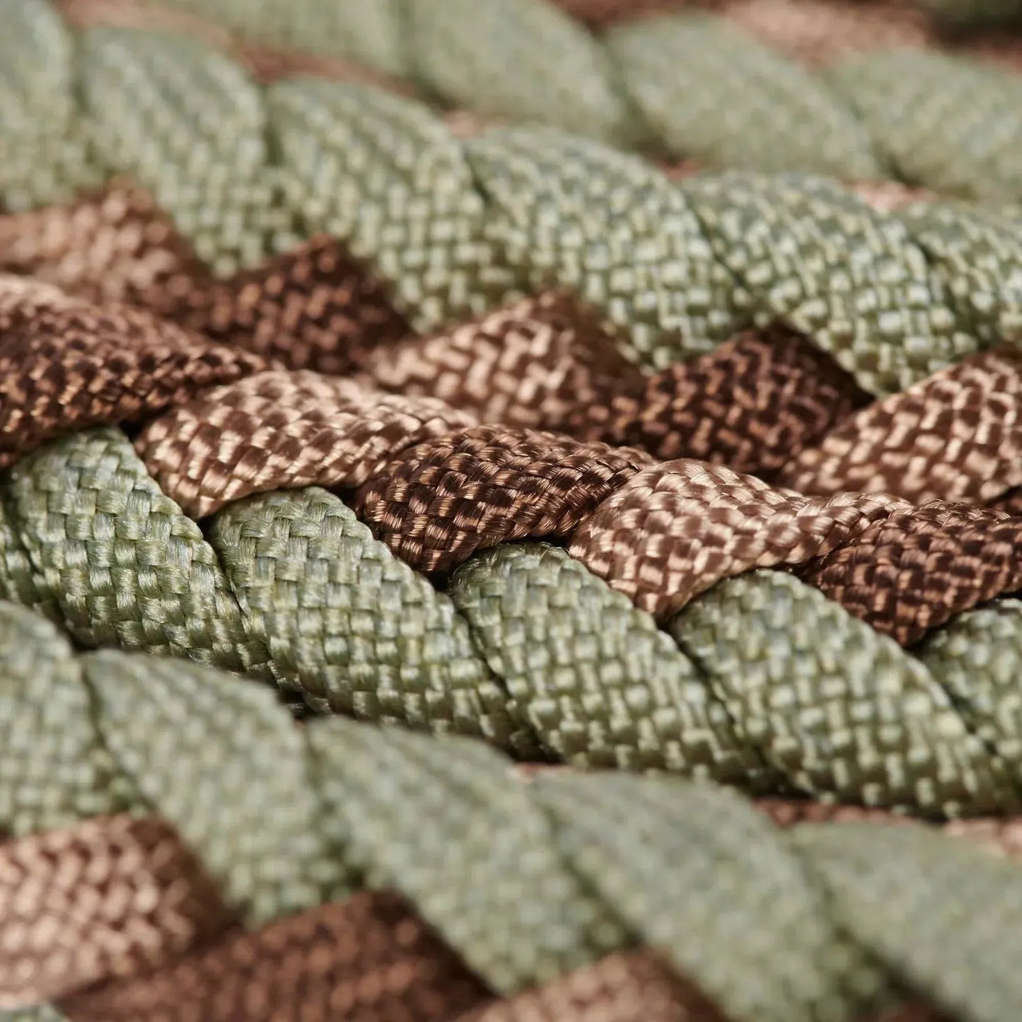 WILLIAM WALKER Paracord Hundeleine Shire - Askmy4Cats